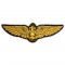 Wing Badges